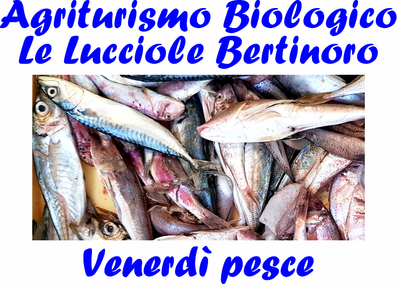 0 Venerdì azzurri